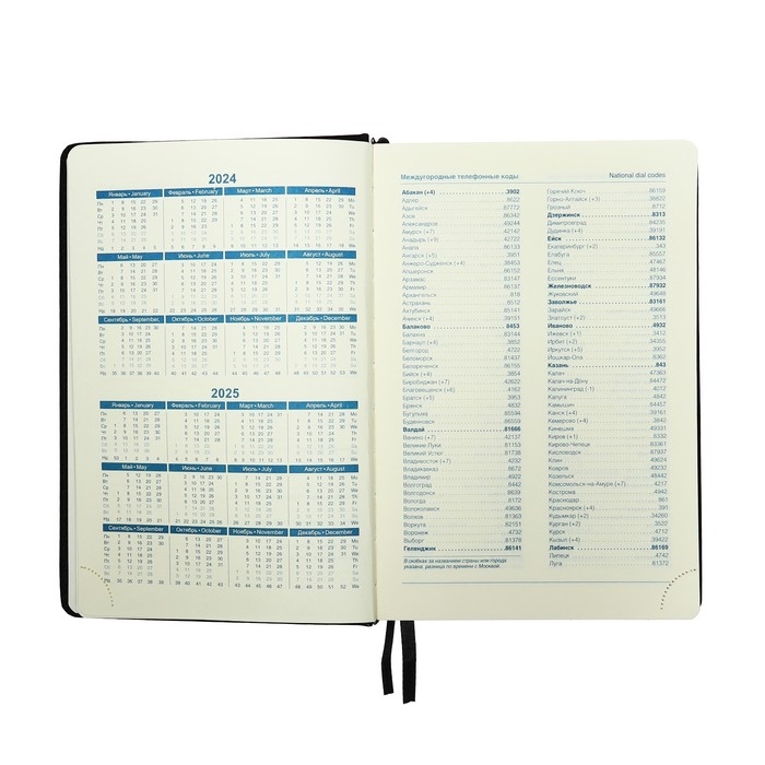 Ежедневник датированный 2025 года, A5, 168 листов в линейку, кожзам "Небраска", золотой срез, черный