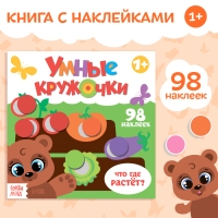 Книга с наклейками «Умные кружочки. Что, где растёт?», 12 стр. Книга с наклейками «Умные кружочки. Что, где растёт?», 12 стр.