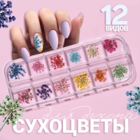Сухоцветы для декора ногтей, 12 видов, в футляре, цвет разноцветный Сухоцветы для декора ногтей, 12 видов, в футляре, цвет разноцветный