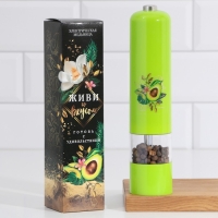 Мельница электрическая для специй &laquo;Живи со вкусом&raquo;, модель LET-003, 22,3 х 5,2 см