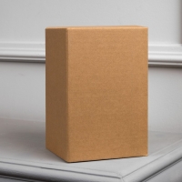 Светодиодная фигура &laquo;Дед Мороз&raquo; 8 &times; 19 &times; 8 см, пластик, батарейки LR44х3 (в комплекте), свечение тёплое белое