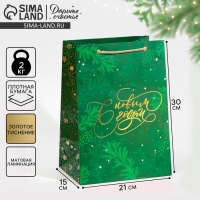 Пакет подарочный новогодний ламинированный &laquo;Яшма&raquo;, 21 х 30 х 15 см, Новый год