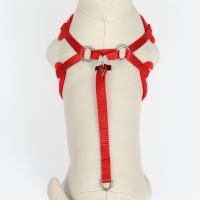 Комплект с мягкой шлейкой и бантиком "Якорь", размер S, поводок 120 x 1,5 см, ОГ 23-42 см, красный Комплект с мягкой шлейкой и бантиком "Якорь", размер S, поводок 120 x 1,5 см, ОГ 23-42 см, красный