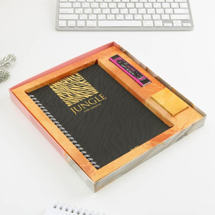 Набор ежедневник и павер банк, мод.РВ-04, &laquo;Сияй&raquo;, 22,7 х 24,5 см.