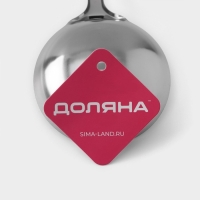 Половник из нержавеющей стали Доляна &laquo;Стандарт&raquo;, 100 мл, h=31 см, цвет серебряный