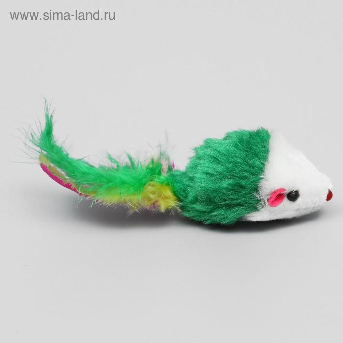 Набор игрушек для кошек: мышь 5 см и шарик с бубенчиком 3,8 см, микс цветов Набор игрушек для кошек: мышь 5 см и шарик с бубенчиком 3,8 см, микс цветов