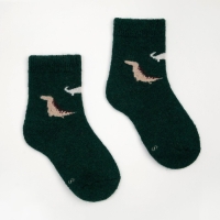 Носки детские шерстяные &laquo;Динозаврики&raquo;, цвет МИКС, размер 16 (3-5 лет)