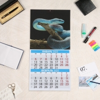 Календарь перекидной на скрепке "Символ года - 2" 2025 год, 6 листов, 29х29 см Календарь перекидной на скрепке "Символ года - 2" 2025 год, 6 листов, 29х29 см