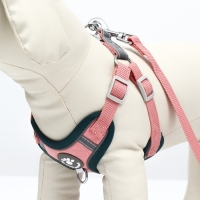 Комплект Sport+, XS, поводок 120 x 1,5 см, ОШ 37-39 см, ОГ 41-46 см, вес животного 4-6 кг, розовый Комплект Sport+, XS, поводок 120 x 1,5 см, ОШ 37-39 см, ОГ 41-46 см, вес животного 4-6 кг, розовый