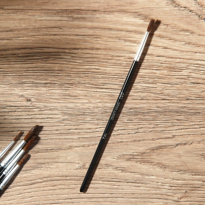 Кисть для рисования набор 5 шт. пони №1,2,3,4,5 &laquo;Ван Гог&raquo;