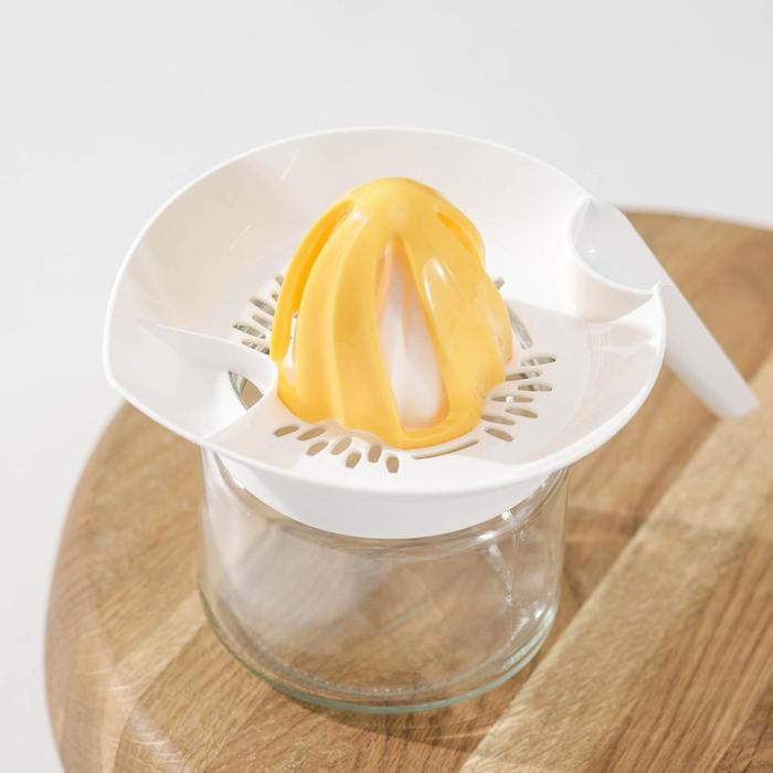 Соковыжималка &laquo;Цитрус&raquo;, 300 мл, цвет МИКС