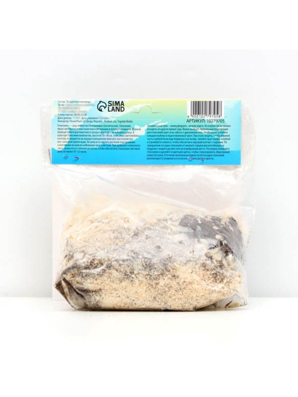 Глоксиния &laquo;Голливуд&raquo;, многолетник, комнатный, луковица в пакете с перфорацией, р-р 5/6, 2 шт.