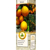 Цитрус "Лимон Мейера", туба, 1 шт, Весна 2025