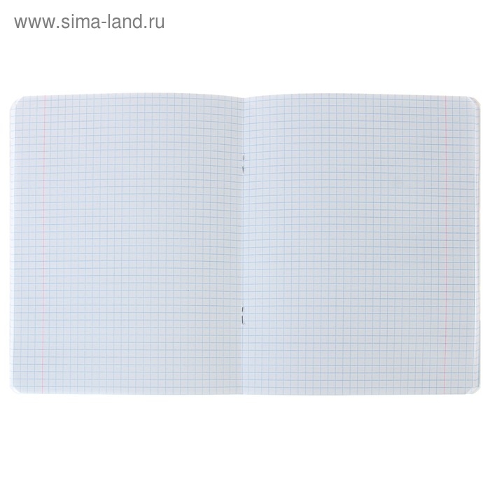 Тетрадь 48 листов в клетку Тетрадь 48 листов в клетку "Гарри Поттер", обложка мелованный картон, матовая ламинация, МИКС