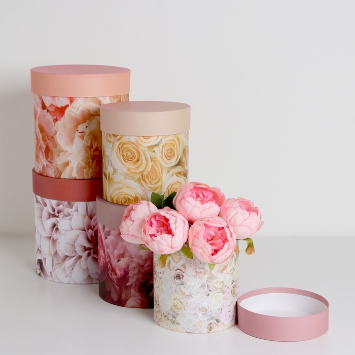 Набор шляпных коробок 5 в1 Набор шляпных коробок 5 в1 "Мечта", 20 х 20 - 15 х 15 см