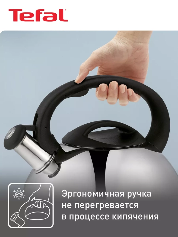 Чайник для плиты из нержавеющей стали C7922024, 3 л