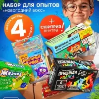 Набор для опытов &laquo;Новогодний бокс&raquo;, 4 набора для опытов, 1 сюрприз
