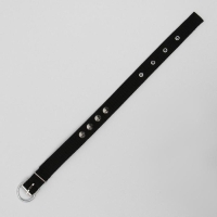 Ошейник для животных