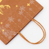 Пакет крафт с золотым тиснением, круглая ручка, "Новый год" 33 х 25 х 12 см, 120 г Пакет крафт с золотым тиснением, круглая ручка, "Новый год" 33 х 25 х 12 см, 120 г