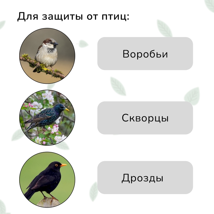 Сетка садовая, мягкая, 10 &times; 4 м, ячейка 15 &times; 15 мм, от птиц , Greengo