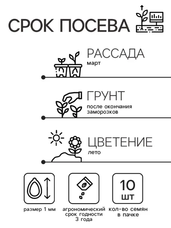 Семена цветов Катарантус "Казанова", 10шт