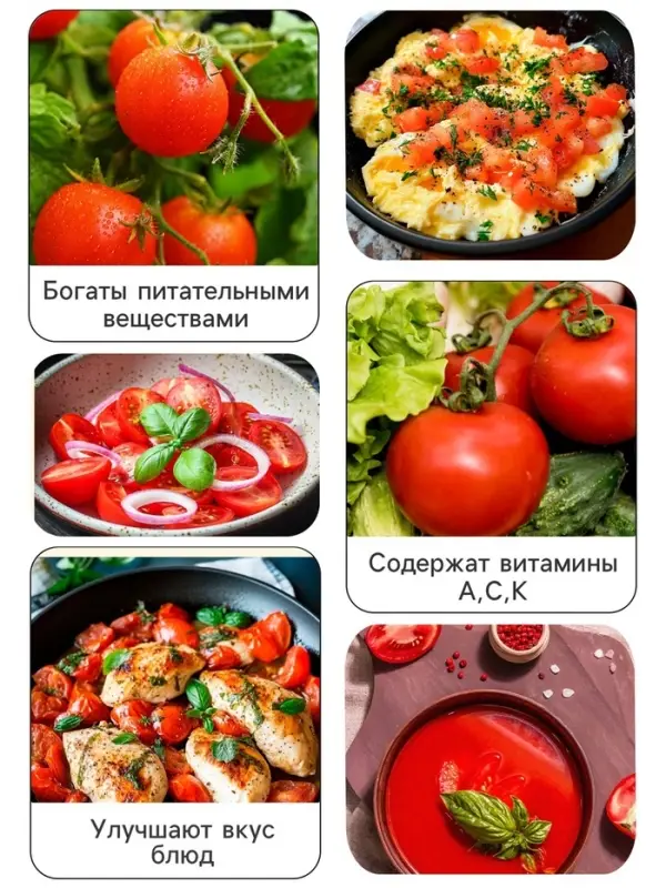 Семена Томат "Розовый гигант", 0,1 г