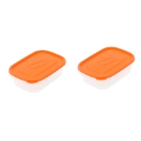 Набор контейнеров пищевых Good & Good, 450 мл, 2 шт, цвет МИКС Набор контейнеров пищевых Good & Good, 450 мл, 2 шт, цвет МИКС