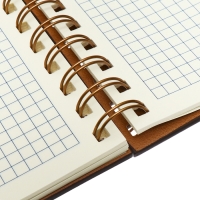 Органайзер на гребне, А5, 80л, клетка, обл.кожзам, с хлястиком, коричневый