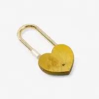 Замок свадебный &laquo;Сегодня и навсегда вместе&raquo;, 3.7 х 7.6 см.