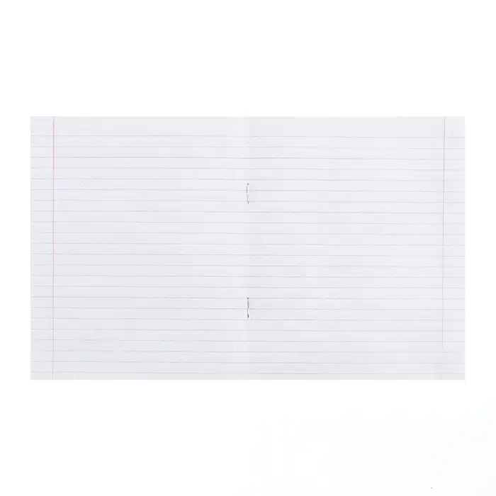 Тетрадь 24 листа в линейку &laquo;Зелёная обложка&raquo;, 58-63 г/м&sup2;, белые листы