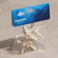 Набор из 3 морских звезд, размер каждой 5-10 см, белые Набор из 3 морских звезд, размер каждой 5-10 см, белые