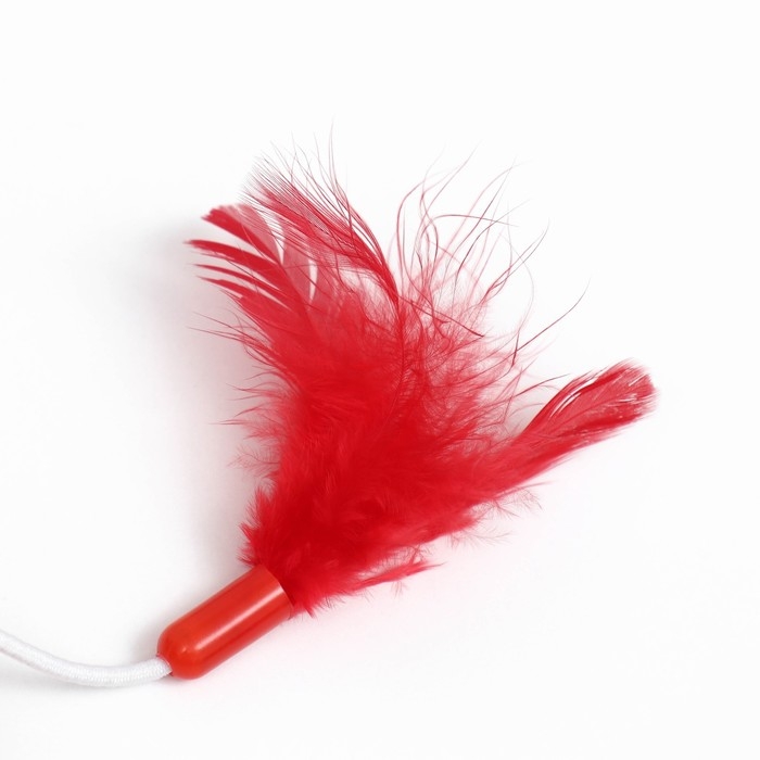 Игрушка для кошек с бубенчиком и перьями Игрушка для кошек с бубенчиком и перьями "Вертолёт", шарик 3,8 см, красная