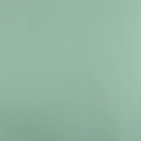 Плёнка для цветов упаковочная пудровая двухсторонняя «Ментол + имбирная мята», 50 мкм, 0.5 х 9 м Плёнка для цветов упаковочная пудровая двухсторонняя «Ментол + имбирная мята», 50 мкм, 0.5 х 9 м