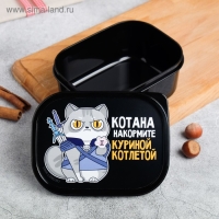 Ланч-бокс &laquo;Котана накормите&raquo;, 0.5 л