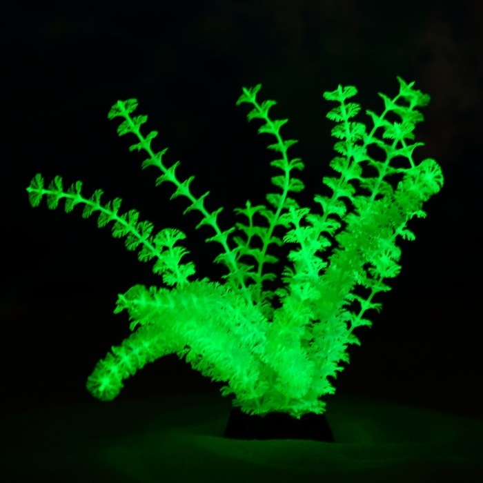 Растение искусственное аквариумное, светящееся, 18 см, зелёное Растение искусственное аквариумное, светящееся, 18 см, зелёное