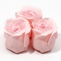 Мыло лепестковое &laquo;Нежной весны&raquo;, 3 х 11 г, аромат цветочный, ЧИСТОЕ СЧАСТЬЕ