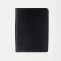 Папка для документов &laquo;Алекс&raquo;, А4, цвет чёрный