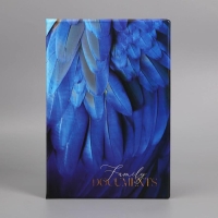 Папка для семейных документов &laquo;Docs&raquo;, 8 файлов А4