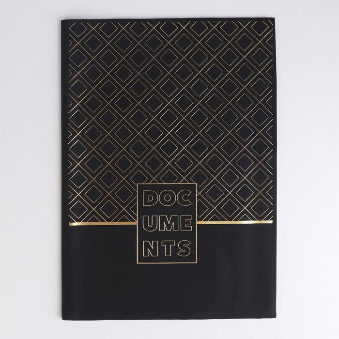 Папка для документов «Docs», 8 файлов А4 Папка для документов «Docs», 8 файлов А4