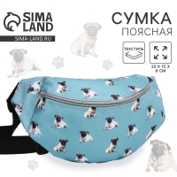 Поясная сумка на молнии, цвет голубой Поясная сумка на молнии, цвет голубой