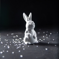 Набор для специй Доляна &laquo;Зайка&raquo;, 2 предмета: солонка 50 мл, перечница 50 мл, цвет белый