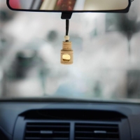 Ароматизатор в бутылочке &laquo;Для настоящего&raquo;, антитабак