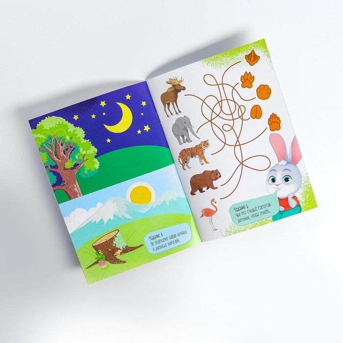 Игра на липучках «Изучаем животных» Игра на липучках «Изучаем животных»