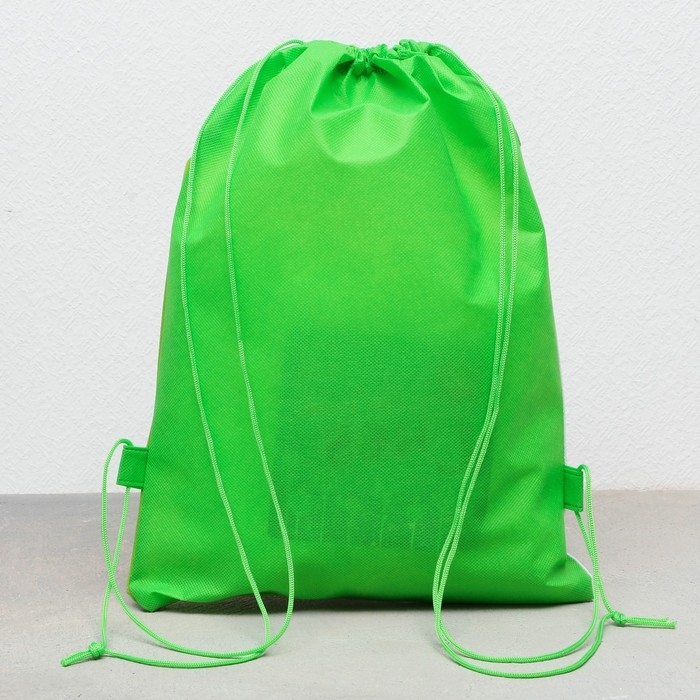 Мешок для обуви «Авокадо» полиэстер, размер 30 х 40 см Мешок для обуви «Авокадо» полиэстер, размер 30 х 40 см