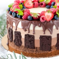 Форма для конфет и шоколада новогодняя Доляна &laquo;Рождество&raquo;, силикон, 30&times;17 см, 16 ячеек, цвет красный