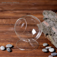 Флорариум "Натурель" сфера, 14х11 см, d=7,7см Флорариум "Натурель" сфера, 14х11 см, d=7,7см