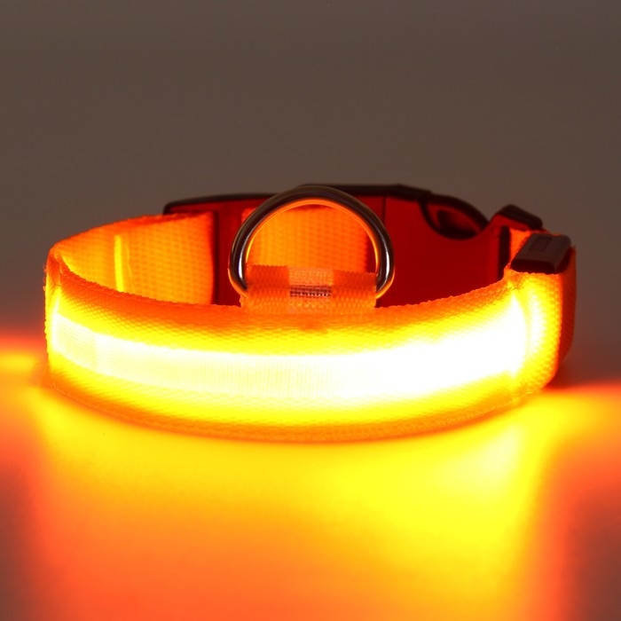 Ошейник с подсветкой размер М, ОШ 40-48 х 2,5 см, 3 режима свечения оранжевый