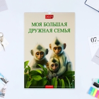 Календарь перекидной на ригеле А3 "Моя большая, дружная семья" 2025 год, 32 х 48 см Календарь перекидной на ригеле А3 "Моя большая, дружная семья" 2025 год, 32 х 48 см