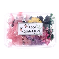 Набор для творчества &laquo;Набор сухоцветов&raquo;, малый, розовый