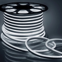 Гибкий неон &laquo;Эра&raquo; 8 &times; 16 мм, IP67, 20 м, SMD2835, 120 LED/м, 220 В, свечение холодное белое